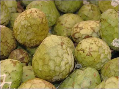 Fruit.
L'anone cherimoya a-t-elle des pépins ou un noyau ?