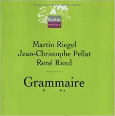 Comment est la grammaire de Martin Riegel ?