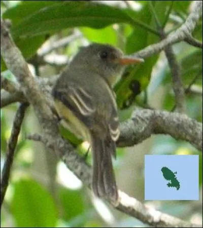 Où pouvez-vous trouver le -------------- ?