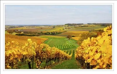 Qu'est-ce-qu'une mistelle ?