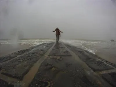 Qui chantait  Il pleut sur le jardin sur le rivage , dans sa chanson  Ballade en novembre  ?