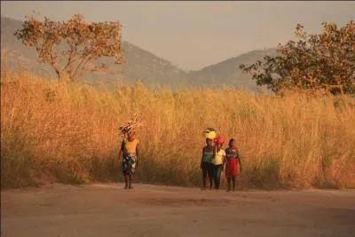 Le 11 novembre 1975 est le jour de :