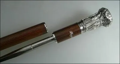 Pourquoi la canne épée s'est-elle répandue pendant la période révolutionnaire ?