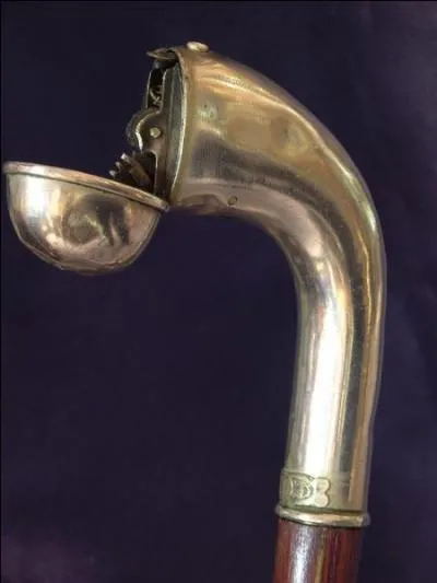 Certaines cannes pouvaient cacher beaucoup de choses, alcool, tabac, poudre, etc... . On les appelait : ... .