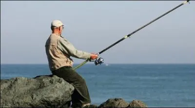En quoi peut-être une canne à pêche ?