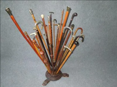 Où a-t-on découvert des centaines de cannes de tous types ?