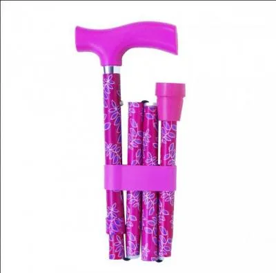 Qui a dit : "L'amour est aveugle et sa canne est rose" ?