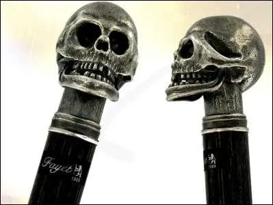 Comment se nomme la partie de la canne que tient la main ?