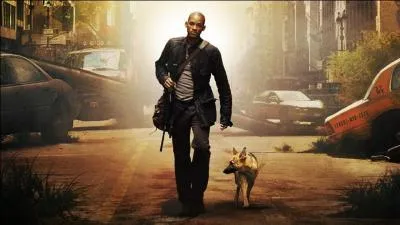 Le J est le dernier homme sur Terre à ne pas avoir succombé à un virus qui change les hommes en zombie :