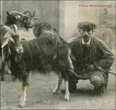 C'était l'époque on l'on classait les gens en « races », en « types »... Mais que fait-il, ce type, justement ?