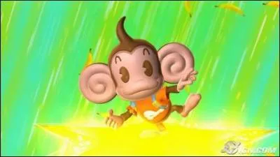 Quel est ce petit singe ?