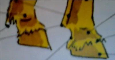 Comment se nomme le creux qu'on peut observer juste avant le sabot ? Aide-toi de la photo.