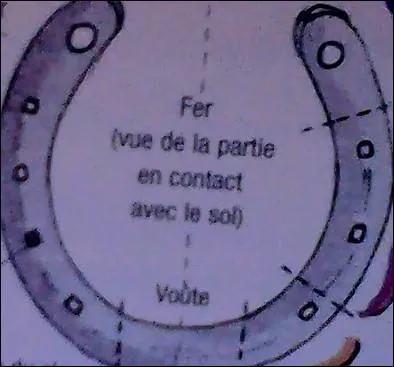 Comment se nomme le trou pour visser un crampon permettant de ne pas déraper sur un terrain glissant ?