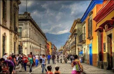 Lieux > Quelque part dans le monde existe une « nuit du radis » : où donc ?