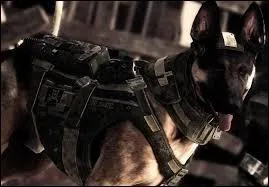 De quel jeu vient ce super-chien ?