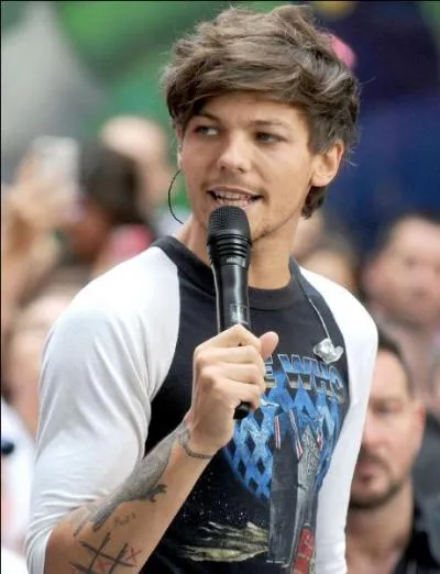 Où Louis a-t-il rencontré Harry pendant X-Factor ?