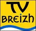 Vous avez peut-être remarqué qu'à gauche des toutes les questions, il y a des logos de chaînes qui sont apparus le jour où la TNT a été lancée, quels sont leurs noms ? (dans l'ordre)