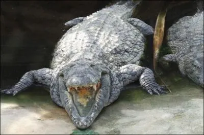 C'est ce qu'il doit pouvoir faire.