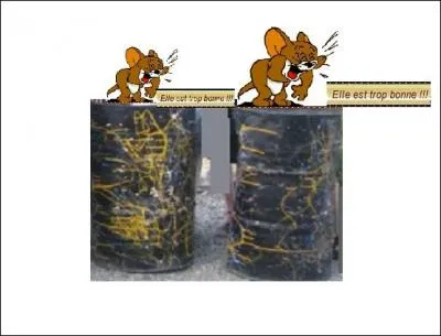 Que font-ils tous les deux ?