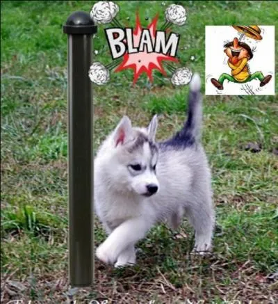 Il rit aux éclats, il s'esclaffe, il a un fou rire.