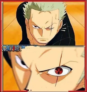 Zoro a copié quelle attaque ?