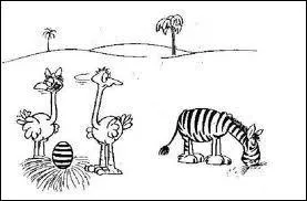 La râpure est-elle une ligne rythmique inventée par les rappeurs ?