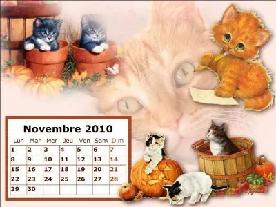 Le 20 novembre nous fêtons tous ceux qui portent le prénom de celui qui écrivit " c'est un roc ! ... c'est un pic... c'est un cap ! 
Que dis-je, c'est un cap ? ... c'est une péninsule ! »