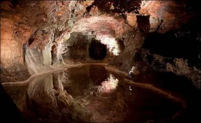 Dans le temps en Poitou-Charente-Vendée, que désignait-on sous le nom de gna ?