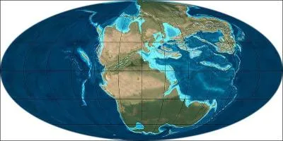 L'ère secondaire (245 à 65 millions d'années) est marquée par l'apparition de :