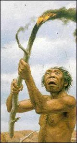 En quelle année le feu est-il maîtrisé ?