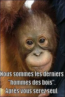 Jamais la Terre, depuis qu'elle existe n'a connu cela, en quelques générations, l'homme prend dans ses ressources sans compter et ainsi modifie le climat terrestre.