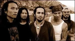 Quel est ce groupe originaire de San Francisco, formé en 1982, auteur entre autres de l'album "Frolic Through the Park" ou encore "The Ultra Violence" ?