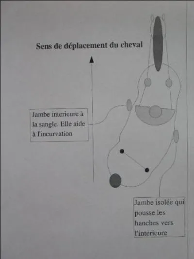 Le déplacement latéral à un angle maximum par rapport au cercle ou au mur est de ...