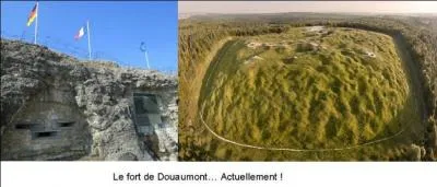 Le 13 septembre, le général Joffre donne l'ordre aux généraux Nivelle et Mangin de préparer une offensive ? Quel est le but de cette offensive ?