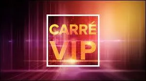 ''Le carré est une figure qui a un angle droit dans chaque coin. Un octogone est une sorte de carré qui a 8 côtés. 
Un parallélépipède est un animal dont les deux pieds sont parallèles. --------------- est une chose idiote. Il y en a donc beaucoup.'' (Complétez pour que ce soit drôle.)