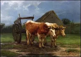 Zoologie : ''Sous la vache, il y a le lait. Elle est équipée pour qu'on puisse la traire. Avant de la traire, la fermière se lave les mains, le pis et le seau. Pour éviter que les microbes entrent, il faut fermer la porte des étables. Les bœufs tirent ---------------------, se fatiguent et donnent moins de lait que les vaches.''
(Complétez)