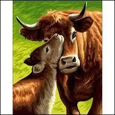 Zoologie : ''La vache a un veau chaque année grâce au taureau qui est une vache sans mamelles. Pour l'insémination artificielle, c'est ------------- qui remplace le taureau.'' (Complétez)