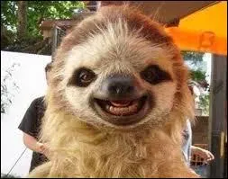 Zoologie : ''La forme la plus élevée de la vie animale est la ----------------.'' (Complétez logiquement)