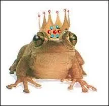 Zoologie : ''La grenouille fait partie de la famille des Capétiens. 
C'est un têtard qui a perdu sa --------------- en devenant adultère. 
Une huître, c'est un poisson fait comme une noix.''
(Complétez)