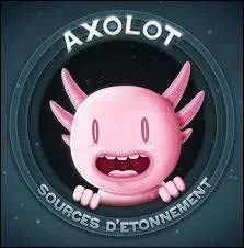 Qui présente cette chaîne ?