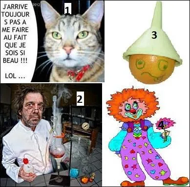 Comment est celui qui prétend allumer le soleil et faire rire son âne ?