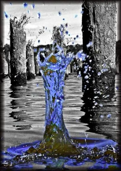 Qui a écrit "Si je pouvais laisser ma dépouille à la terre, Ce que j'ai tant rêvé paraîtrait à mes yeux ! " dans son poème "L'isolement" ?