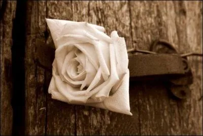 Quelle est la phrase correcte ?