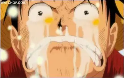 Quelle est la mort la plus douloureuse pour Luffy ?
