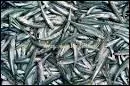 L'anchois est un petit poisson au corps bleuté avec des reflets d'argent. Il a fait en France la fortune et la réputation des pêcheurs de Sète.