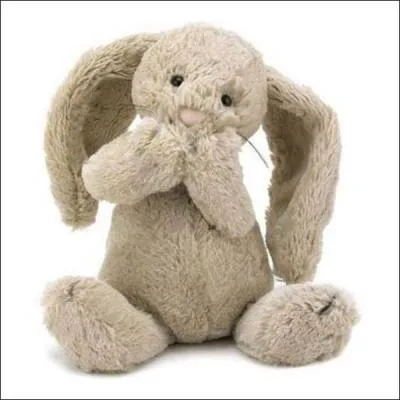 Quel est le nom de ce dernier ?