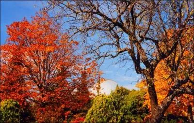 "Novembre", une nouvelle écrite lors de l'automne 1842, n'a jamais été publiée du vivant de son auteur... !