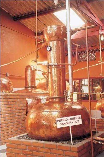 Quel alcool est typiquement brésilien ?