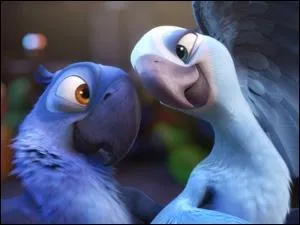 Il existe plusieurs centaines d'espèces de perroquets dont les plus grands spécimens du genre sont les aras. Dans le film d'animation "Rio" Blu et Perla sont les deux derniers aras bleus de la planète. Cette espèce existe-t-elle vraiment ?