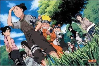 Qui sont Naruto et ses amis ?